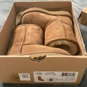 T classic chestnut Ugg’s